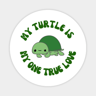 My one true love: My Turtle Magnet